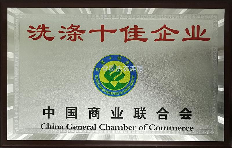 洗滌十佳企業(yè)